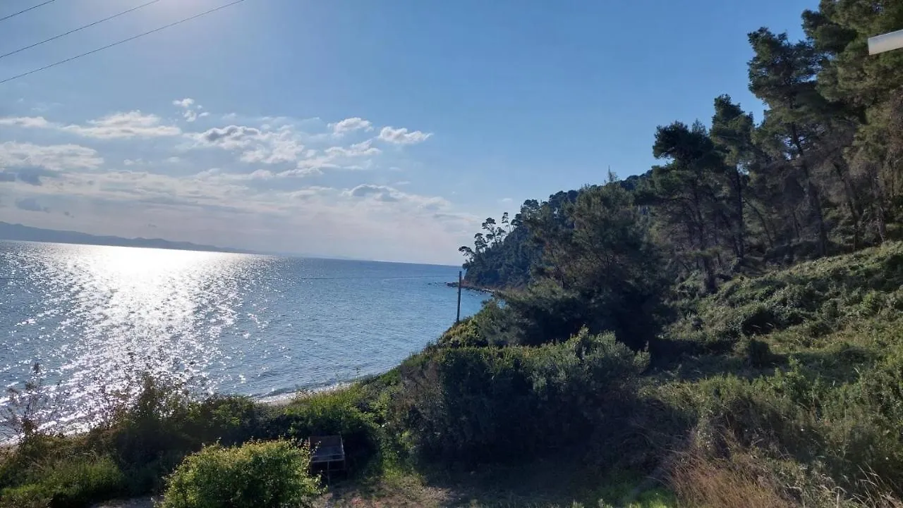 Oasis Apartment Kallithea   Kallithea (Chalkidiki)